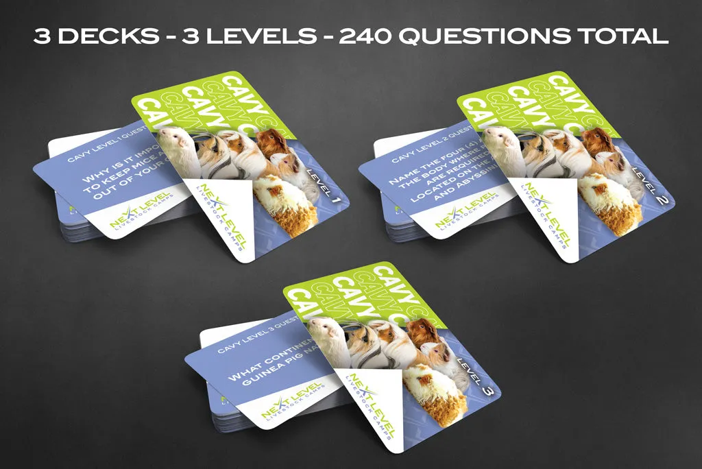 3 Deck Multi-Level Cavy Flashcard Bundle