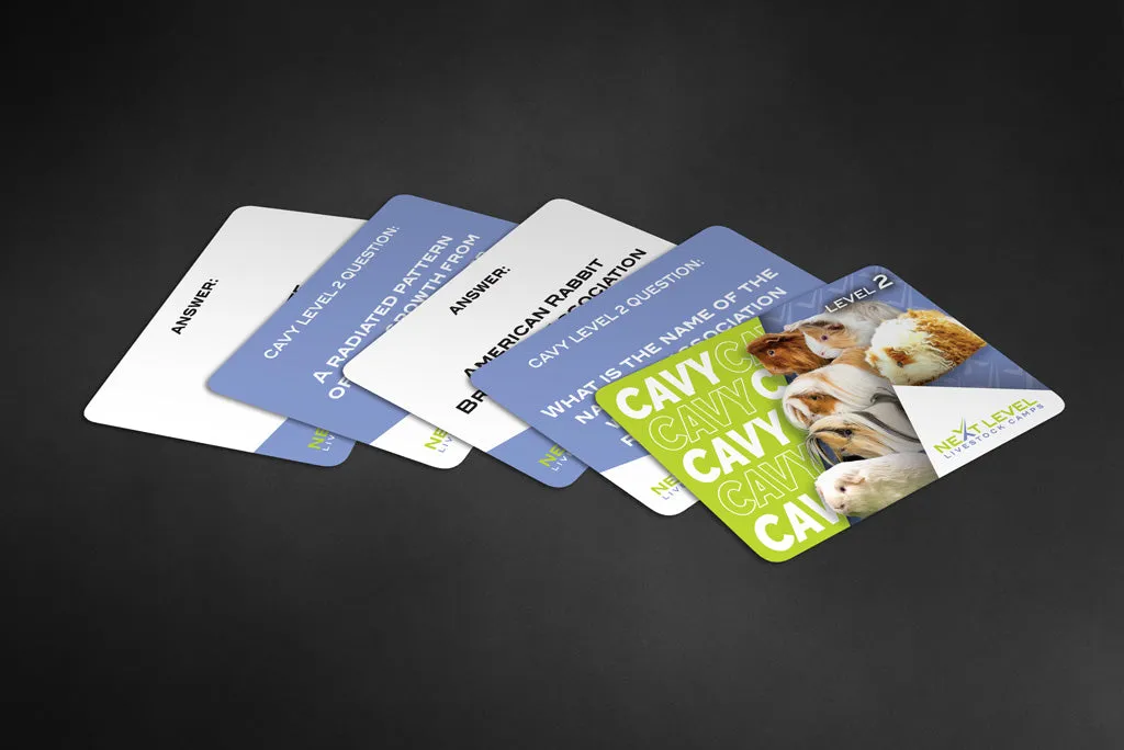 3 Deck Multi-Level Cavy Flashcard Bundle